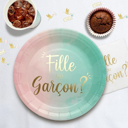 6 Assiettes Gender Reveal "Fille ou Garçon?"